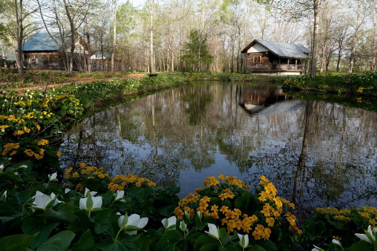 🌳 육화의 숲(롯카노모리) 이미지 1